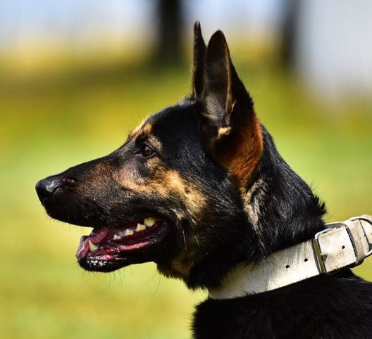 IMG-20180706-WA0068s